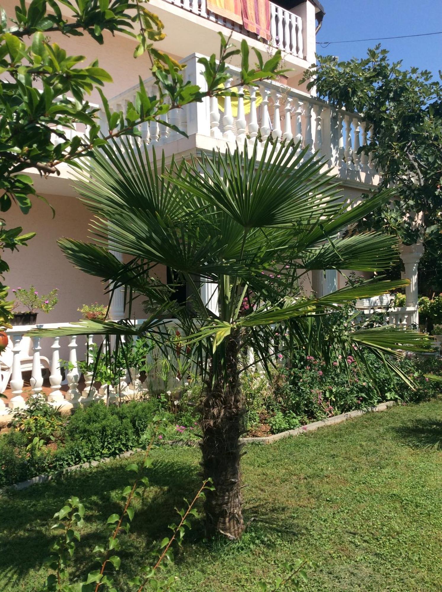 Villa Chiara Vodice Buitenkant foto
