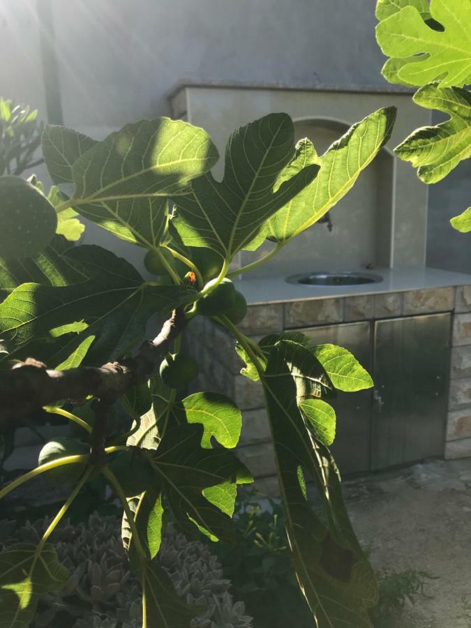 Villa Chiara Vodice Buitenkant foto