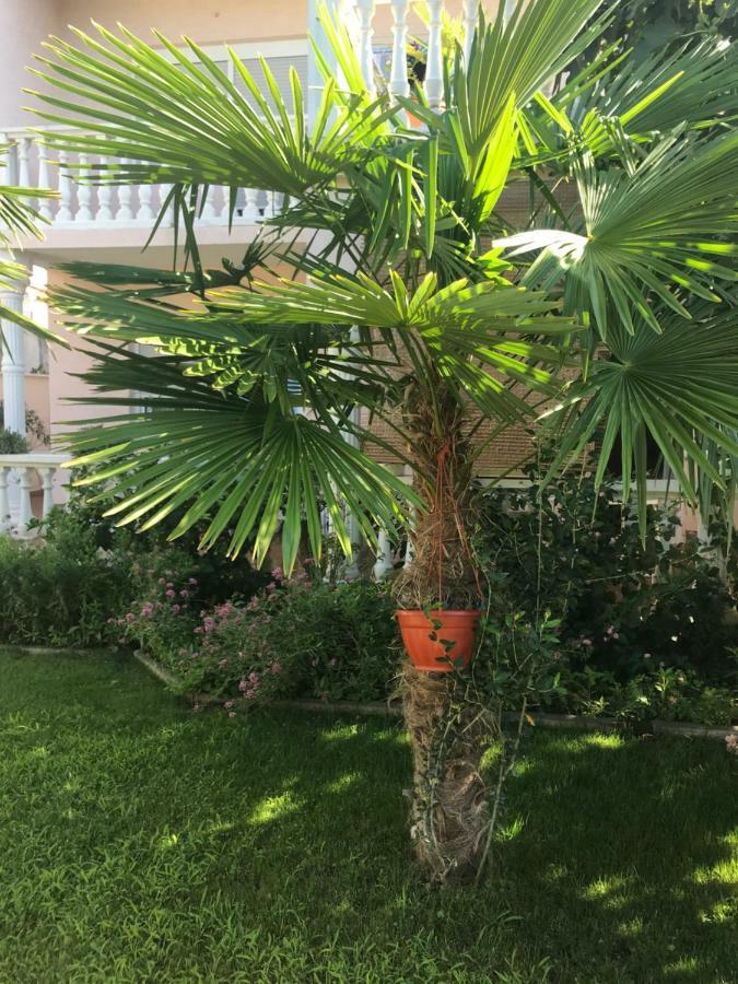 Villa Chiara Vodice Buitenkant foto